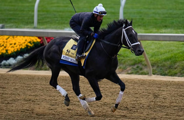 Betting on the Preakness Stakes: Handicapping Advice and Tips